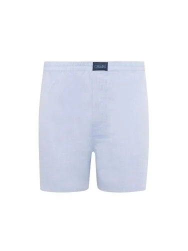 Germirli Blue Thin Twill Cotton Boxer Shorts - 1