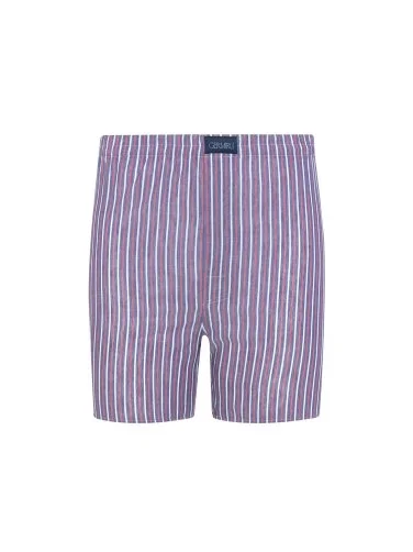Germirli Blue, White, Red Thick Striped Cotton Boxer Shorts - 1