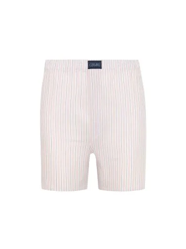 Germirli Beyaz Çağla Yeşili Çizgili Poplin Boxer Şort - 1