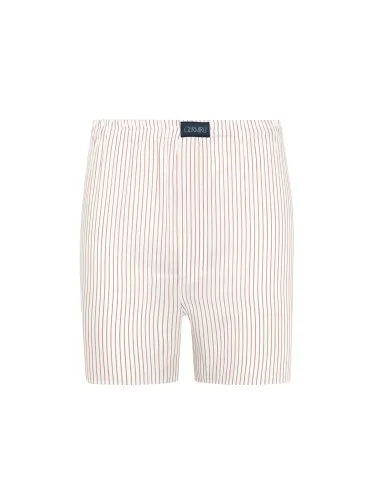 Germirli Beyaz Kiremit İnce Çizgili Poplin Boxer Şort - 1