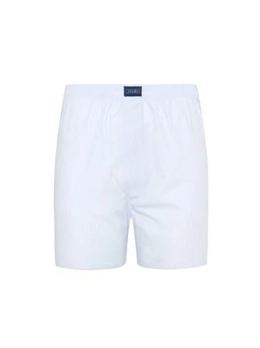 Germirli Beyaz Mavi İnce Çizgili Pamuk Boxer Şort - 1