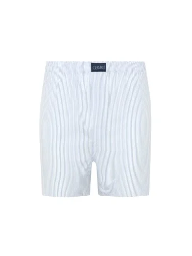 Germirli Beyaz Mavi İnce Çizgili Poplin Boxer Şort - 1