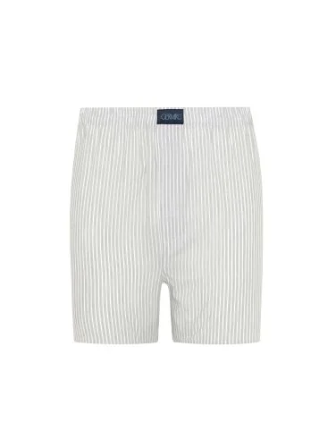 Germirli Gri Beyaz İnce Çizgili Poplin Boxer Şort - 1
