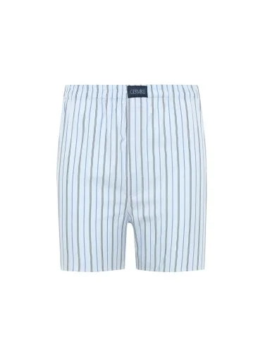 Germirli Mavi İnce Çizgili Poplin Boxer Şort - 1