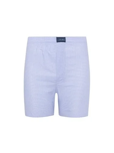 Germirli Mavi,Beyaz Küçük Desenli Pamuk Boxer Şort - 1