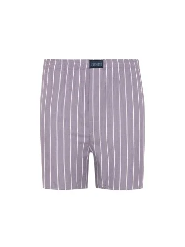 Germirli Mor Beyaz İnce Çizgili Poplin Boxer Şort - 1