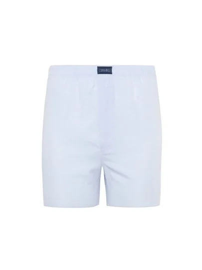 Blue and White Plaid Cotton Boxer Shorts with Germirli - Germirli 
