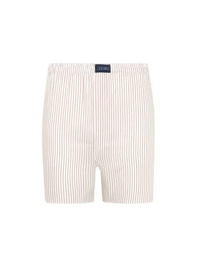 Germirli Beyaz Kiremit İnce Çizgili Poplin Boxer Şort - Germirli
